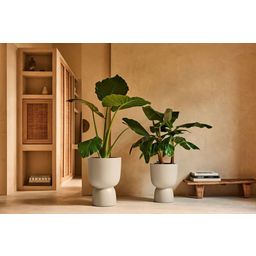 elho amber coupe Planter 35 cm - Balanced Beige