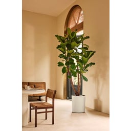 elho  eden aquacare high Planter, 40 cm - Linen White