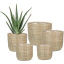 Scheurich Seagrass Planter - White - 32