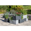 Scheurich C-Cube Long Planter - Stony Black - 60 cm