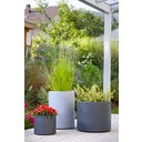 Scheurich Panzano Planter - Black Granite - 40