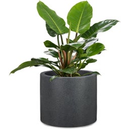 Scheurich Panzano Planter - Black Granite - 40