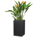 Scheurich C-Cube High Planter - Stony Black - H 48