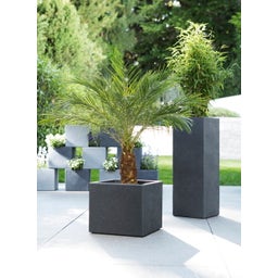 Scheurich C-Cube High Planter - Stony Black - H 70