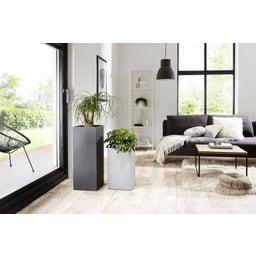 Scheurich C-Cube High Planter - Stony Grey - H 48