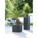 Scheurich C-Cube Planter - Stony Black - 40