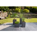 Scheurich C-Cube Planter - Stony Black - 40