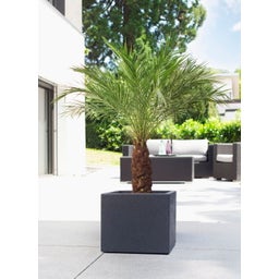 Scheurich C-Cube Planter - Stony Black - 40