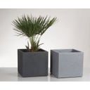 Scheurich C-Cube Planter - Stony Black - 40