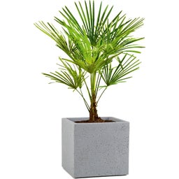 Scheurich C-Cube Planter - Stony Grey - 40