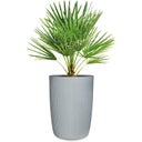 Scheurich Linetto 54 Tall Planter  - Stone Grey