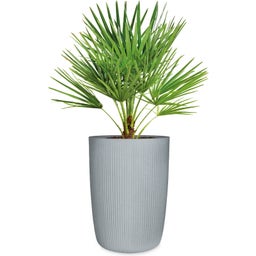 Scheurich Linetto 54 Tall Planter  - Stone Grey