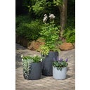 Scheurich Linetto Planter - Stony Black - 30