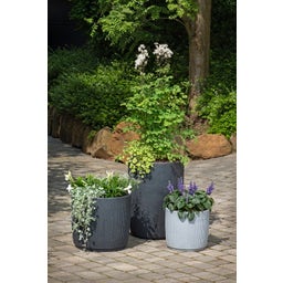 Scheurich Linetto Planter - Stony Black - 40