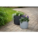 Scheurich Linetto Planter - Stony Black - 47