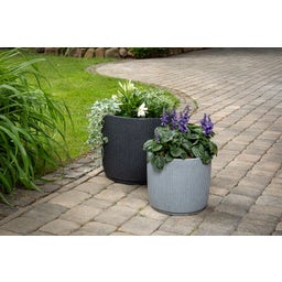 Scheurich Linetto Planter - Stony Black - 30