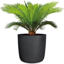 Scheurich Linetto Planter - Stony Black - 30