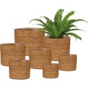 Scheurich Seagrass Planter - Ø 17 cm