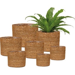 Scheurich Seagrass Planter - Ø 17 cm