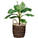 Scheurich Water Hyacinth Wicker Planter, Brown - Ø 26 cm