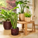 Scheurich Water Hyacinth Wicker Planter, Brown - Ø 26 cm