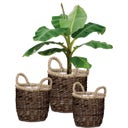 Scheurich Water Hyacinth Wicker Planter, Brown - Ø 34 cm