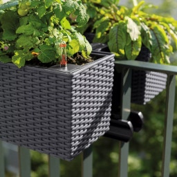 Lechuza BALCONERA Cottage 40 Planter