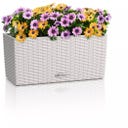 Lechuza Cvetlično korito BALCONERA Cottage 40 - svetlo siva