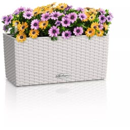 Lechuza Cvetlično korito BALCONERA Cottage 40 - svetlo siva