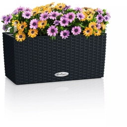 Lechuza BALCONERA Cottage 40 Planter - graphite black