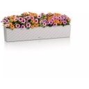 Lechuza Cvetlično korito BALCONERA Cottage 100 - svetlo siva