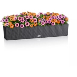Lechuza BALCONERA Cottage 100 Planter - granite