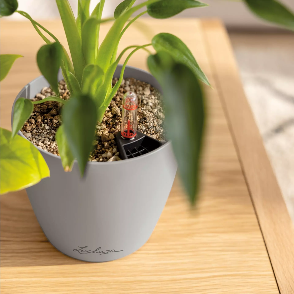 Lechuza CLASSICO Color 12 Planter - slate grey