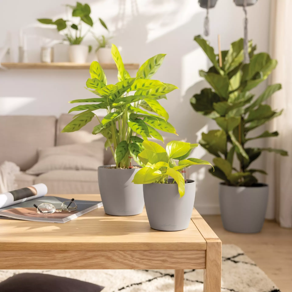 Lechuza CLASSICO Color 12 Planter - slate grey