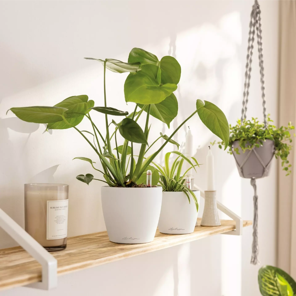 Lechuza CLASSICO Color 12 Planter - slate grey