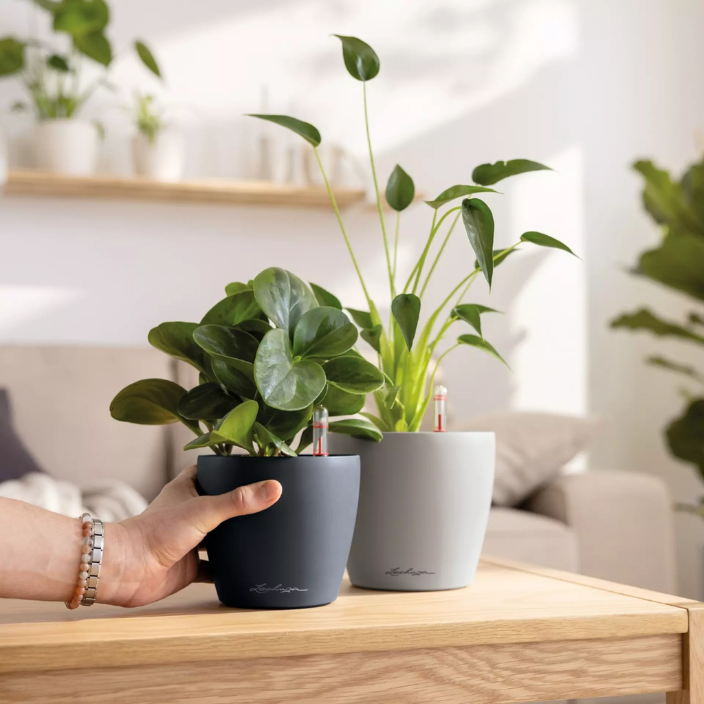 Lechuza CLASSICO Color 12 Planter - slate grey