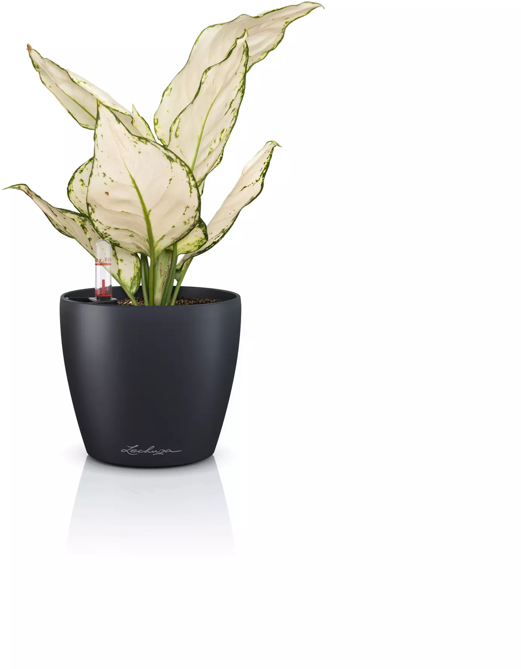 Lechuza CLASSICO Color 12 Planter - slate grey