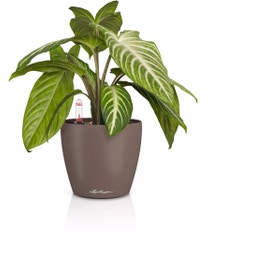Lechuza CLASSICO Color 14 Planter - nutmeg