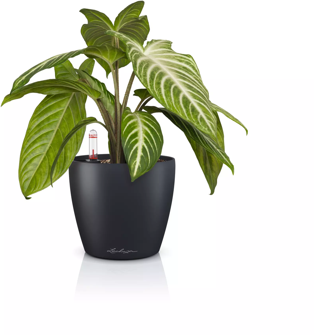 Lechuza CLASSICO Color 14 Planter - slate grey