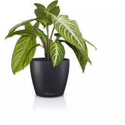 Lechuza CLASSICO Color 14 DECO Planter - slate grey