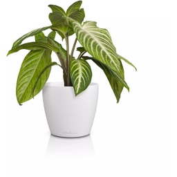 Lechuza CLASSICO Color 14 DECO Planter - white