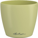 Lechuza CLASSICO Color 10 DECO Planter - lime tree