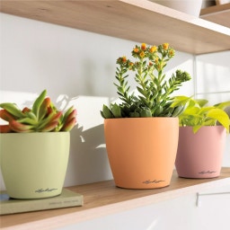 Lechuza CLASSICO Color 10 DECO Planter - papaya