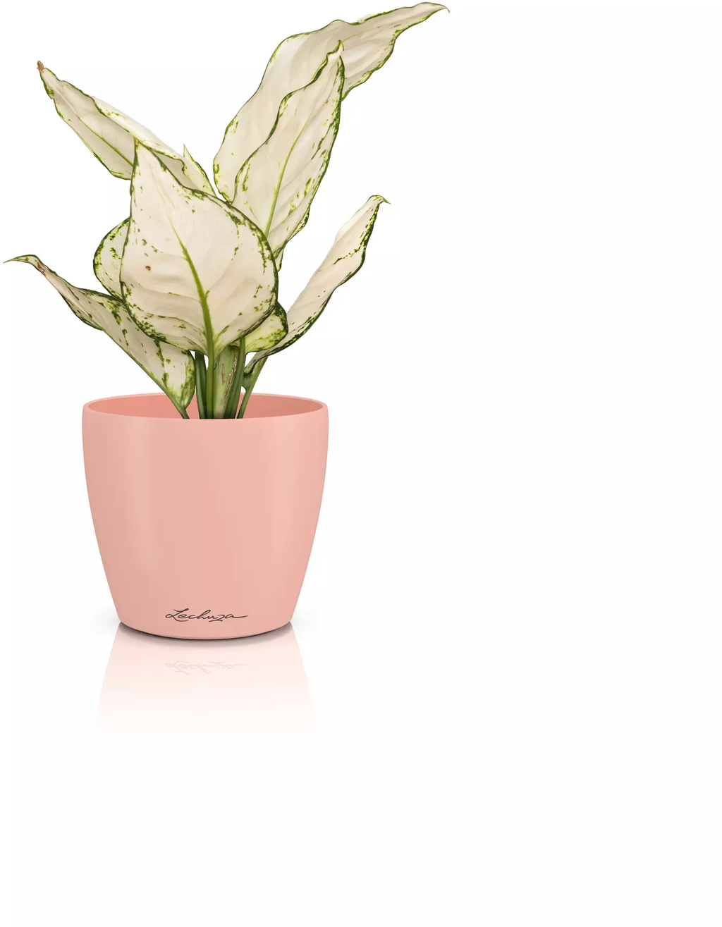 Lechuza Cvetlični lonec CLASSICO Color 12 DECO - magnolija