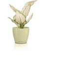 Lechuza Doniczka CLASSICO Color 12 DECO - limonka