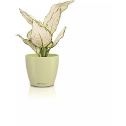 Lechuza Doniczka CLASSICO Color 12 DECO - limonka