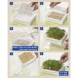 Zestaw startowy kiełki MicroGreen Garden - z 4 wkładkami z nasionami BIO - 1 Zestaw
