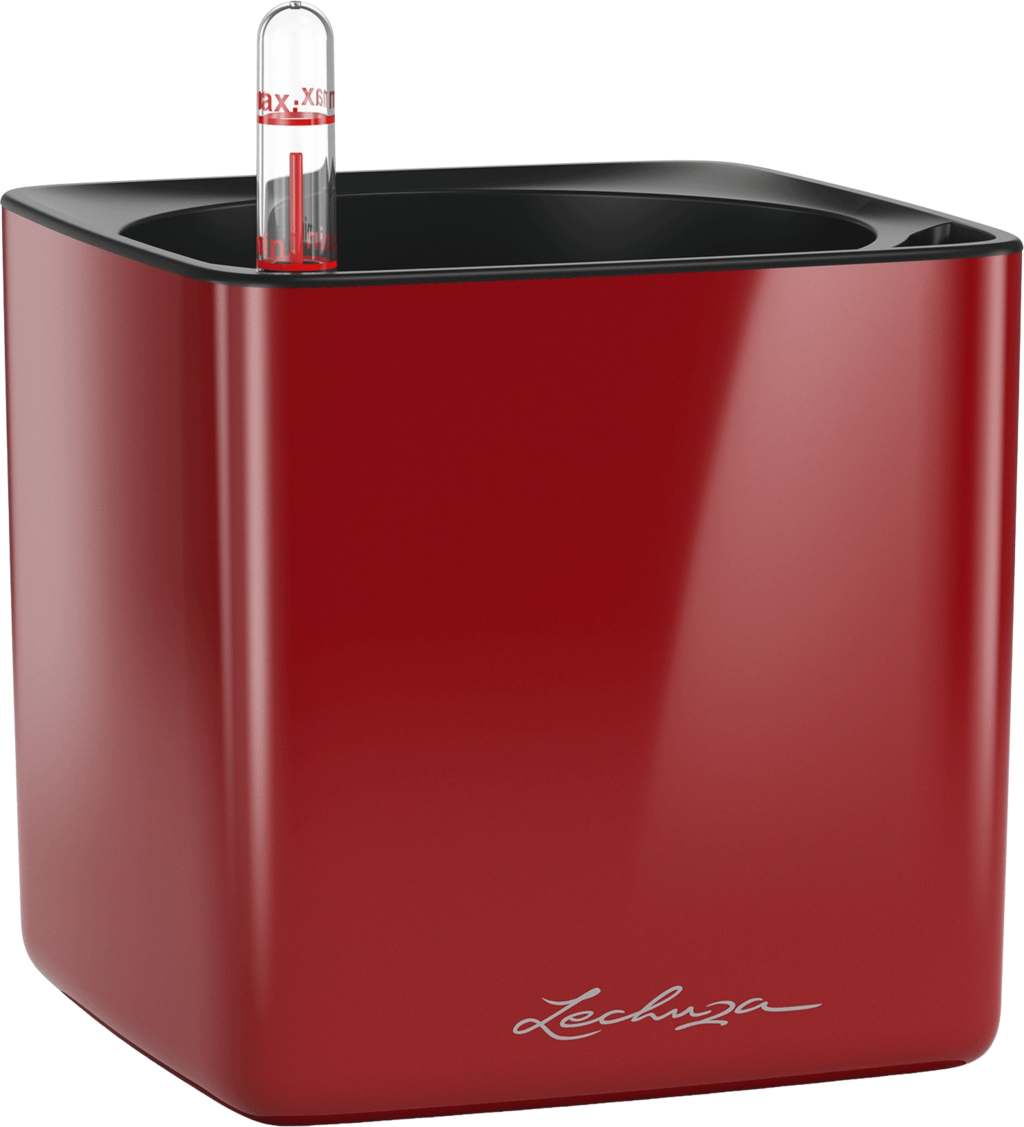Lechuza Macetero Cube Glossy 14