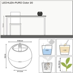 Lechuza PURO Table Planter Color 20 - Sandy Brown