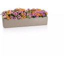 Lechuza Macetero - BALCONERA Stone 100 - beige arena